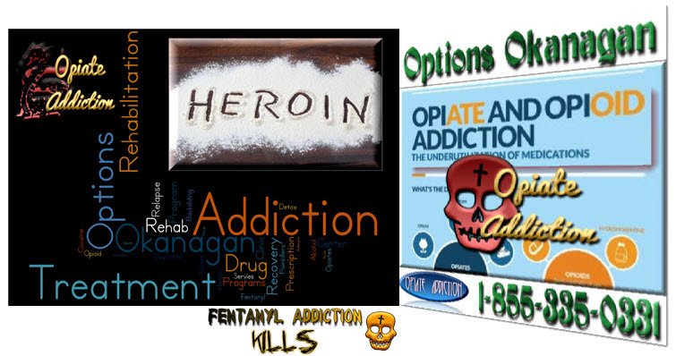 Individuals Living with Opiate Addiction and Addiction Aftercare and Continuing Care in Lethbridge, Alberta